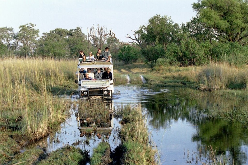 Communication on this topic: How to Enjoy a Zambian Safari, how-to-enjoy-a-zambian-safari/ Communication on this topic: How to Enjoy a Zambian Safari, how-to-enjoy-a-zambian-safari/