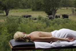 Relax in the bush 