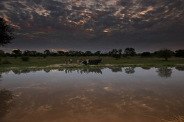 Sundowners 