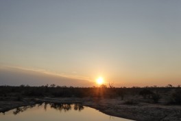 Sunset  by Regina Hart