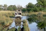 Safari vehicle 