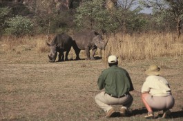 1.matobo game walking 