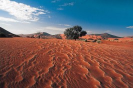 Namib 
