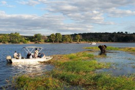 Chobe cruise 