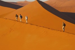 Namib dunes 