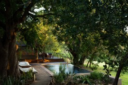 River lodge pool, Kruger Safari accommodation 