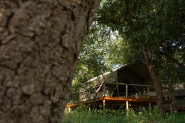 Private River Lodge - tented suite 