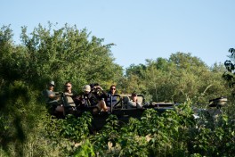 Kruger Safari in Private Game Reserve 