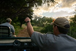 Guided 4x4 safari drives 