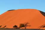Namib Dune  by sanderlw