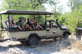 Moremi safari vehicle 