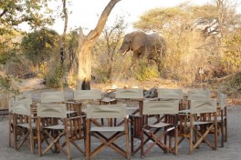 Botswana Safari Lodge Camp 