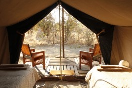Zimbabwe & Botswana Safari Camp 