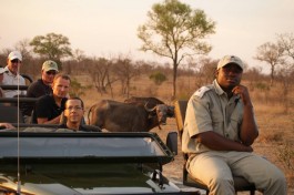 Zimbabwe Safari, Hwange 