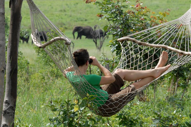 Budget Zimbabwe & Botswana Safari