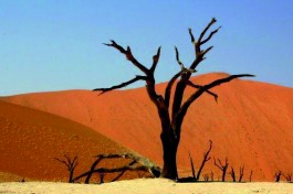 Namib Desert 