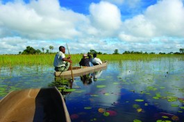 Mokoro in Delta 