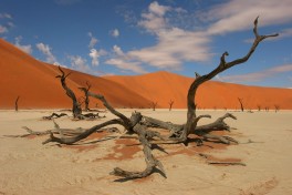 Sossusvlei 