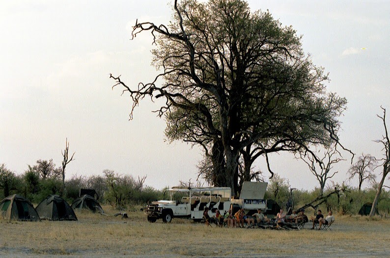 Chobe campsite