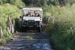 Moremi safari vehicle, Botswana 