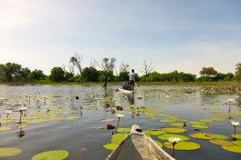Okavango Delta, Botswana Safari  by Martijn.Munneke
