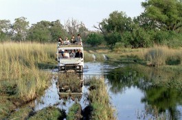 Water crossing, Botswana Wilderness Safari 