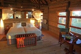 Accommodated Safari 