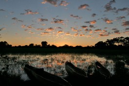 Delta Mokoro Trip 