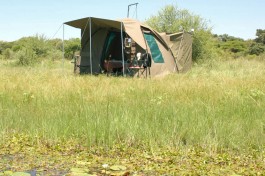 Botswana Camping Safari tent 