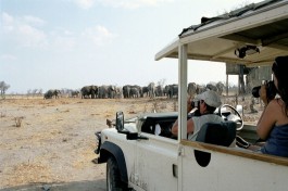 Botswana Safari vehicle and elephants 