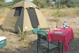 Tanzania Camping Safari 