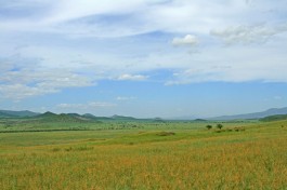 Tanzania Safari landscape 