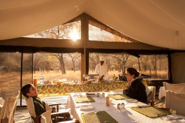 Serengeti safari lodge camp 