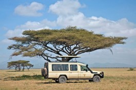 Tanzania & Kenya Safari vehicle 
