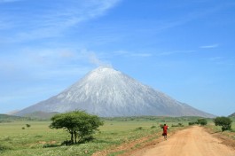 Budget African Safari scenery 