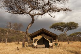 Serengeti Safari Lodge, Tanzania 