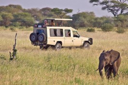 Tanzania safari vehicle & elephant 