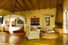 Tanzania safari lodge 