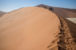 Namib dune 