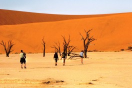 Dead Vlei 