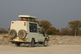 Tour transport 