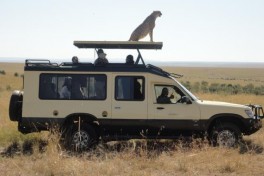 Kenya Safari vehicle & cheetah 
