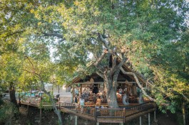 Sabi Sands Safari Lodge 