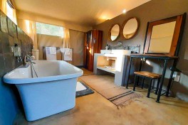 Sabi Sands Safari Lodge superior tent 
