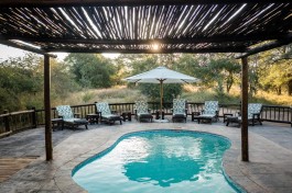 Sabi Sands Tented Lodge pool 