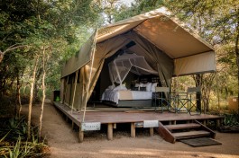 Kruger & Sabi Sands Safari  standard tent 