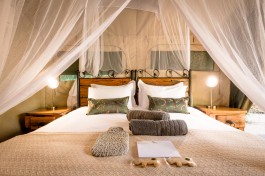 Sabi Sands Lodge standard tent 