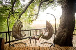 Sabi Sands lodge views  
