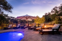 Sabi Sands lodge pool 