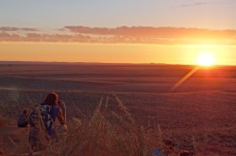 Namib desert  